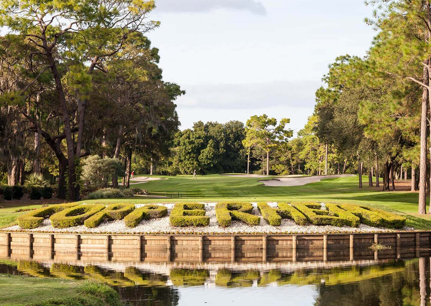 The grounds at Innisbrook Resort