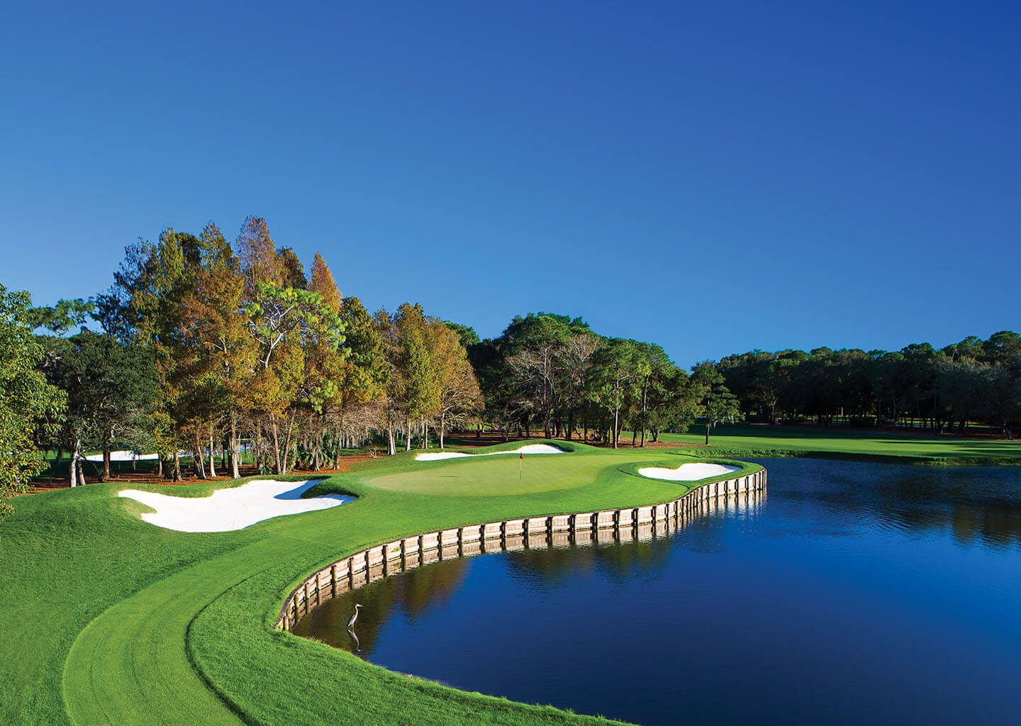The Copperhead golf course at Innisbrook Resort