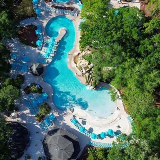 The pool complex at Innisbrook Resort